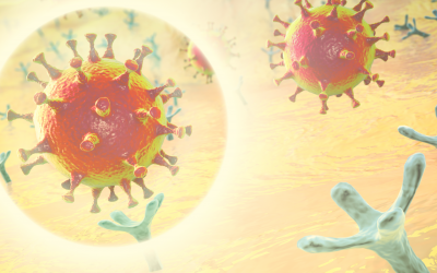 Research Focus: IDK® anti-SARS-CoV-2 IgG ELISA