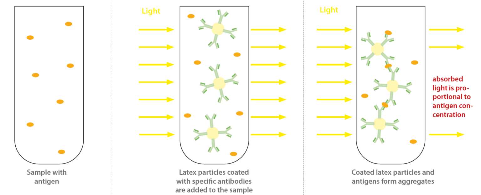 Turbidimetric Assays by IDK® Immundiagnostik, Inc.