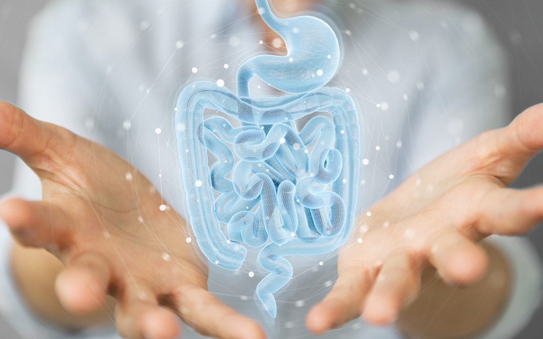 A woman holding out her hands with an image of the stomach and intestines floating between them.