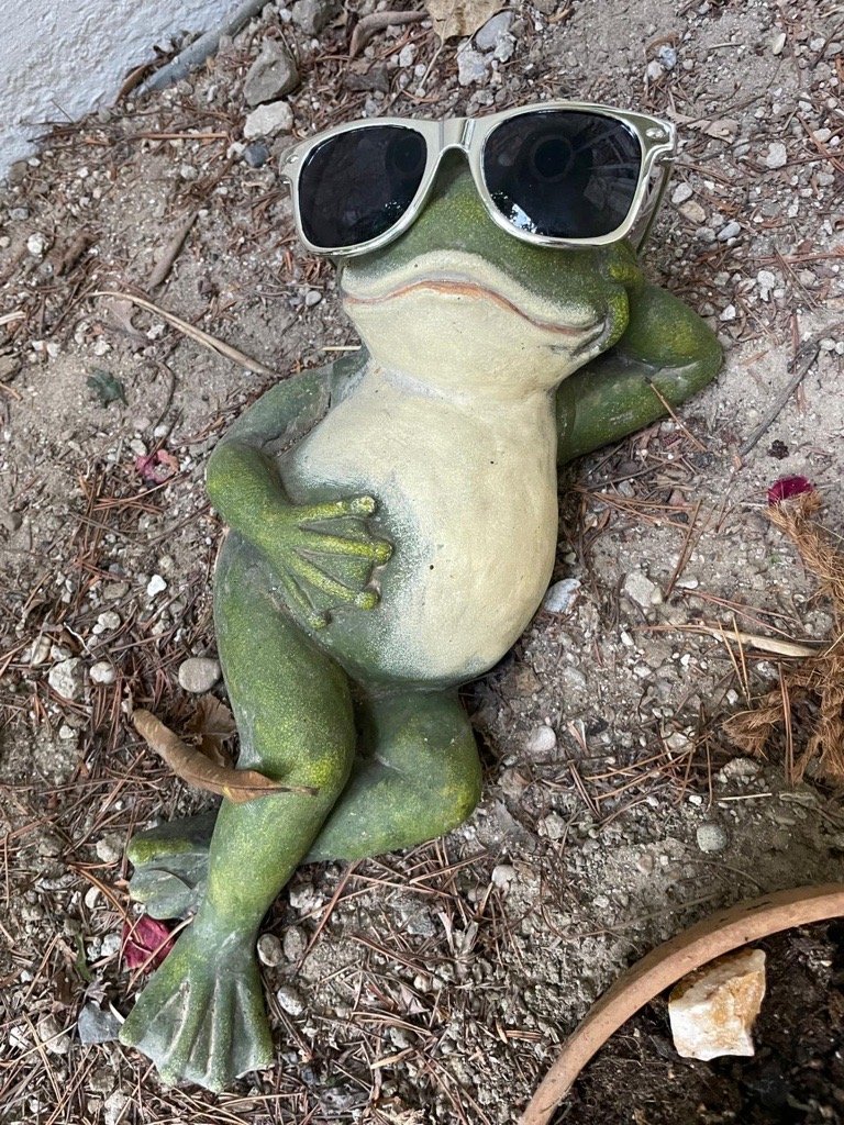 A frog statue wearing sunglasses and laying in a garden.