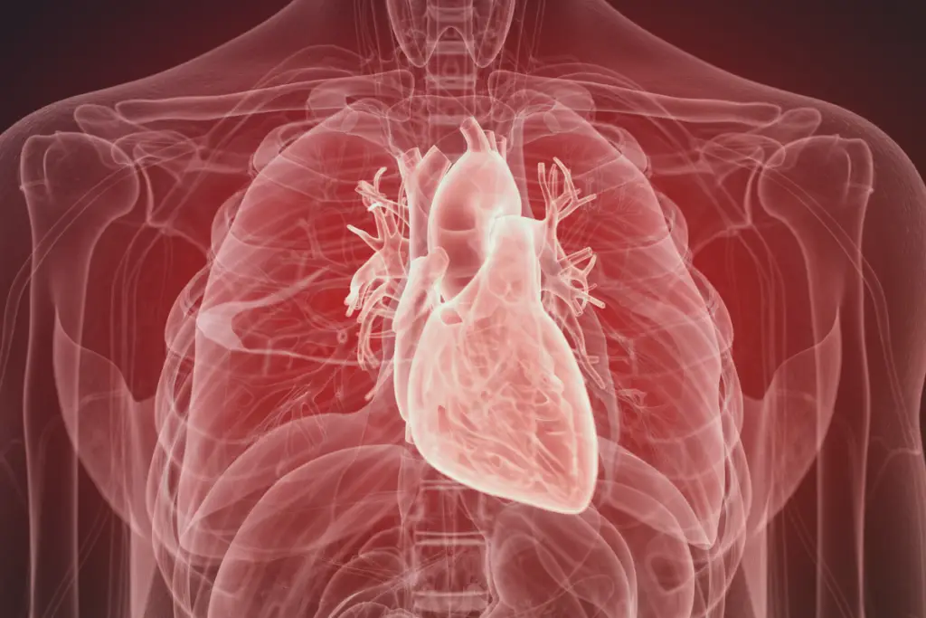 An AI illustration of the human heart with inflammation.