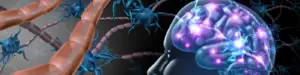 A 3D illustration of neurotransmitters in the brain being triggered.