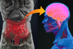 A 3D rendering of the communication processes of the microbiome-gut-brain axis in IBS.