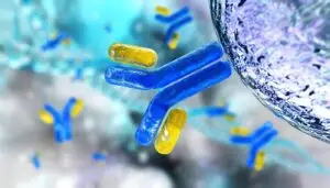 A 3D rendering of antibodies and immunoglobulins.
