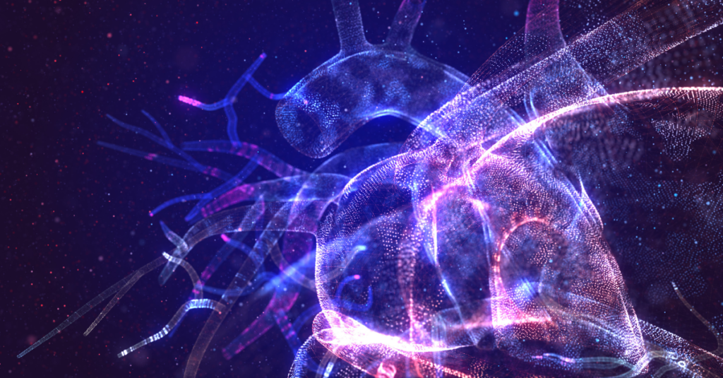 A 3D illustration of the heart and vessels highlighted in purple, blue, and pink.