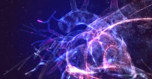 A 3D illustration of the heart and vessels highlighted in purple, blue, and pink.