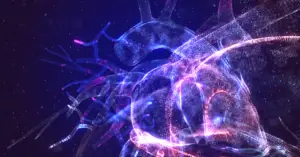 A 3D illustration of the heart and vessels highlighted in purple, blue, and pink.