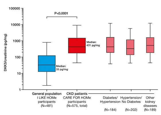 A bar graph from the Zewinger et al., 2018 study showing Urinary Dickkopf-3 (DKK3) is elevated in subjects with CKD.