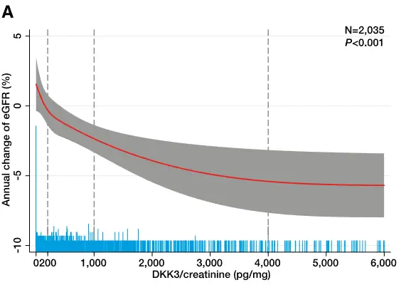 A graph from the Zewinger et al., 2018 study showing how DKK3 predicted the risk of short-term eGFR loss in subjects with CKD.