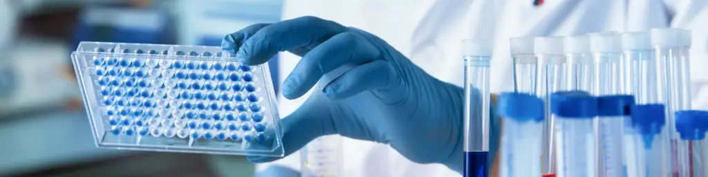 A gloved hand holding a clear ELISA plate with the wells filled with a blue liquid.